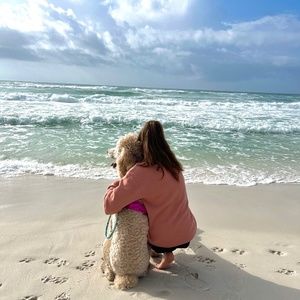 Meet your Posher, Adeline